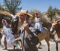 Romeria en el cual va un señor con dos caballos