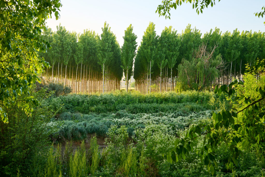 alameda del río genil huétor tájar poniente de granada