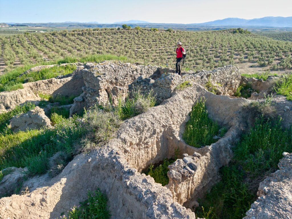 Asentamiento Cerro de la Mora Moraleda de Zafayona