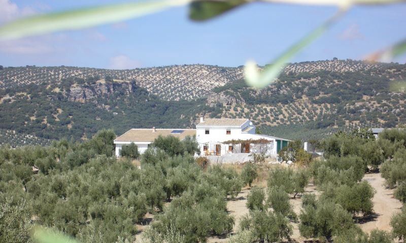 B&B Las Navillas M&M Montefrío Poniente de Granada