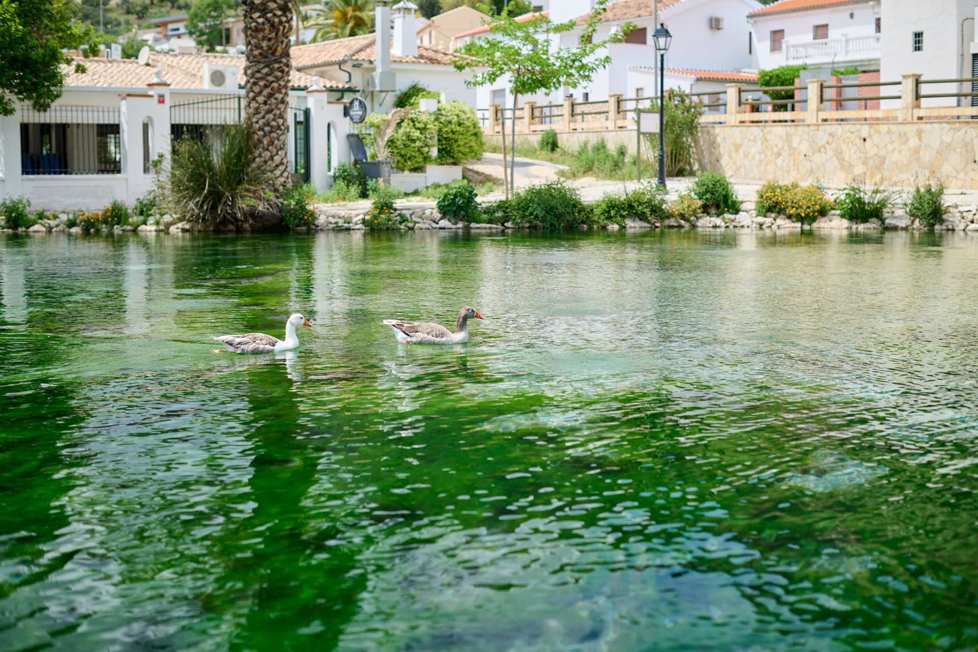 MANANTIAL DEL FRONTIL-LOJA
