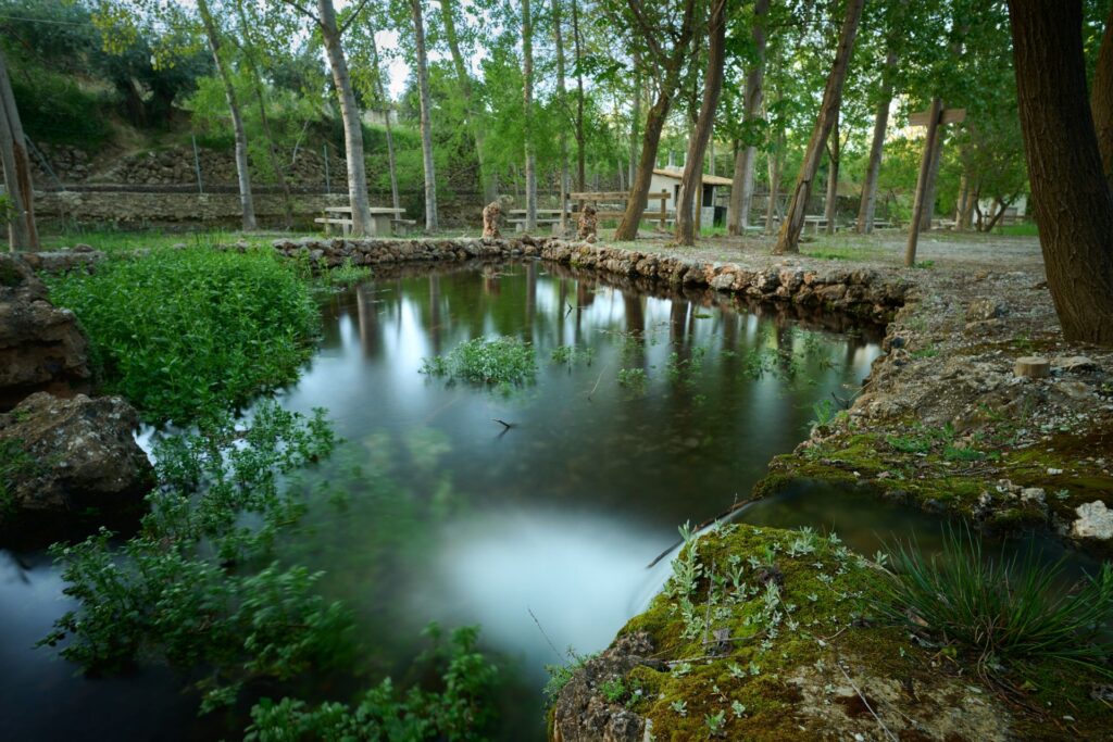 NACIMIENTO RIO GORDO-JATAR Poniente de Granada