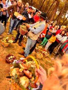 jornadas micológicas